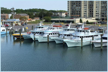 Rudee Tours Deep Sea Fishing